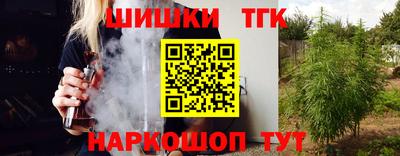 шишки Кингисепп